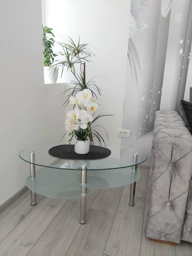 Apartment Marina 2 Κότορ Εξωτερικό φωτογραφία