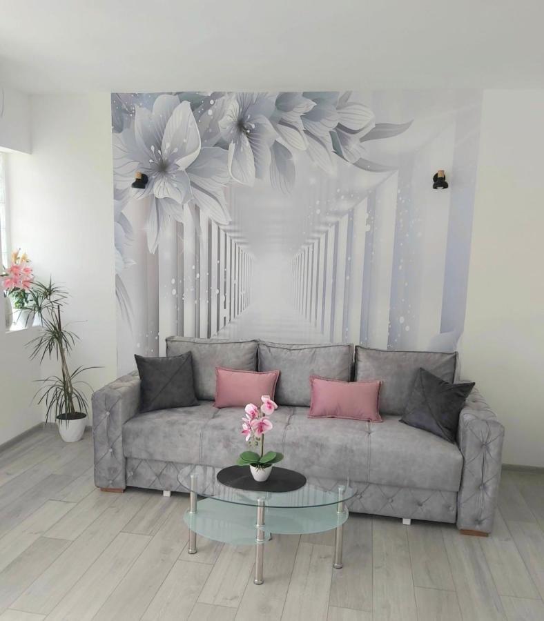 Apartment Marina 2 Κότορ Εξωτερικό φωτογραφία