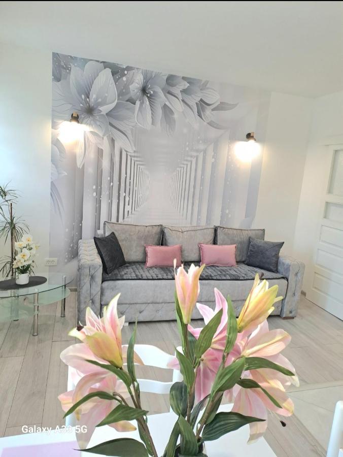 Apartment Marina 2 Κότορ Εξωτερικό φωτογραφία